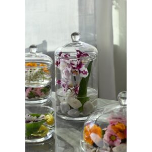 Zestaw pojemników z pokrywą Glamour 15,4 cm - obrazek 4