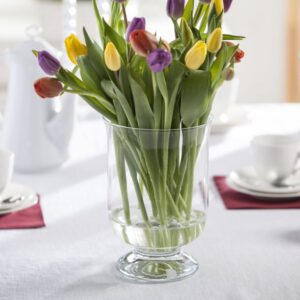 Wiatroswiecznik-ARANZACJA