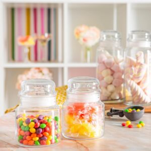 Komplet pojemników na żywność z pokrywą 2x635 ml SERA - obrazek 3