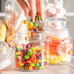 Komplet pojemników na żywność z pokrywą 2x635 ml SERA - obrazek 4