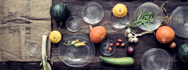 Edwanex-Talerze-spirala-plytke-Rotor-aranz